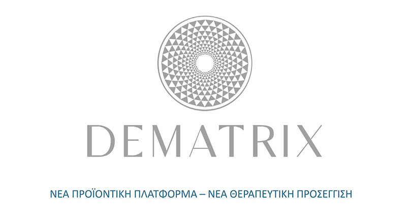 Dematrix_presentation_GRE_02