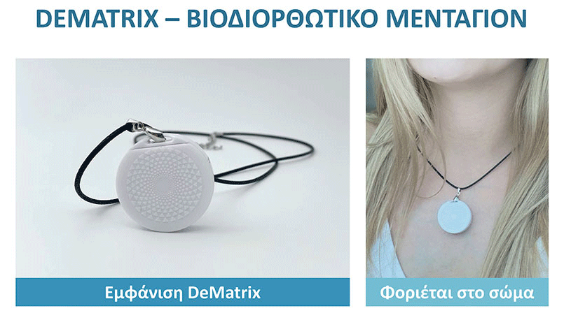 Dematrix_presentation_GRE_08