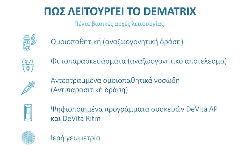 Dematrix_presentation_GRE_10