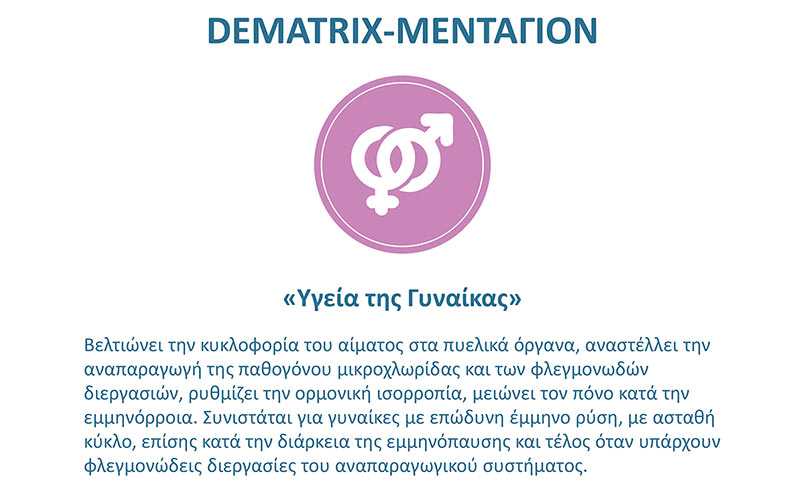 Dematrix_presentation_GRE_32